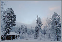 Merry Christmas from Lapland. галерея. просмотры: 472