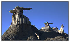  . Bisti Badlands.