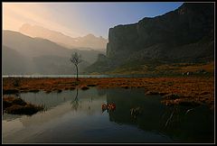  Solitary
