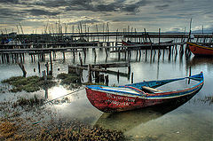  Old boats
