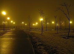  Foggy night