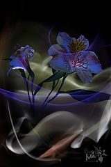  0501 (" - ")