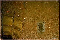  drowned reflection