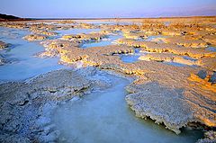  Salt