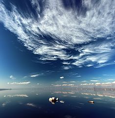  Reflection V