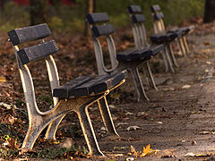  Autumn Cliches