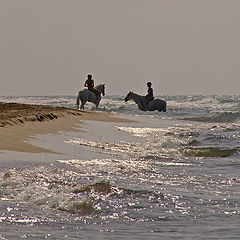  Horse ride