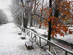  Winter