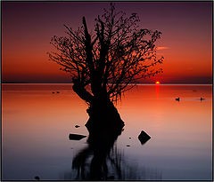  The Last Light