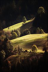  Farmers land