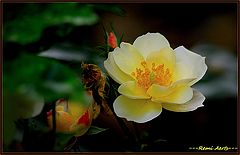  a nice day for you !!!