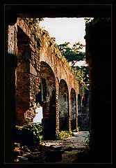 Light in Ruins