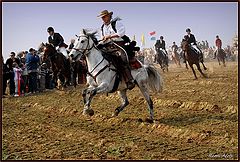  horses run