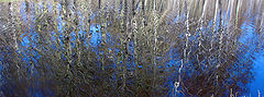  Spring reflections