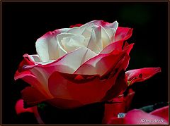  for you my friend !!!