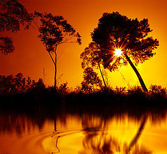  Nature reflection