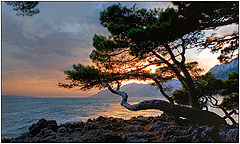  Motive of a sunset