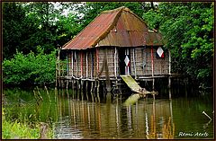  cottage on the water