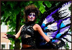  colorful butterfly