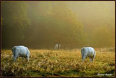  one morning in August