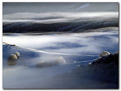  Frozen Trees