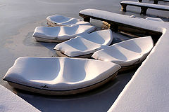  Slippers of winter /  