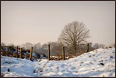  cold day