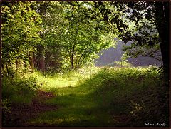 so silence hier