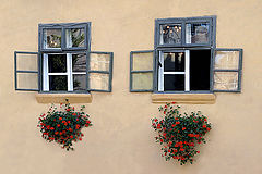  Old windows with flowers /   