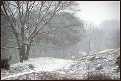  let it snow