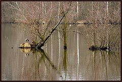  waiting for spring