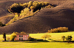  dal colle