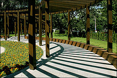  Curves and shadows /   