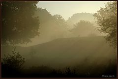  sunlight in the fog