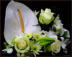  flower for lovers