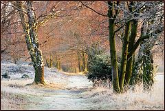  the first winter day