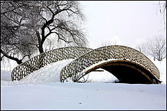  Arching over snow