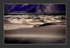  sand dune