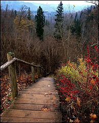  Staiway to Fall