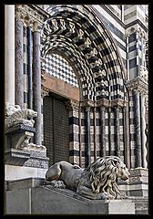  Cathedral of San Lorenzo