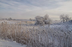  -20