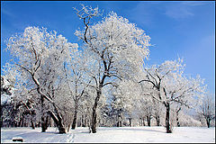  Winter story