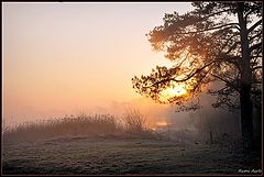  good morning sun