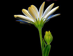  Spring...