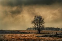  Stormy Afternoon