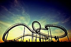  Tiger and Turtle