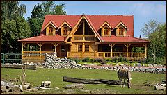  house with zebra
