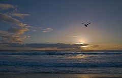  Evening