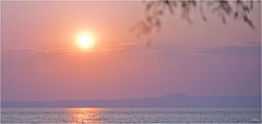 фото Таяла веточка в нежных красках восхода