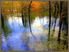  Pastel autumn lake